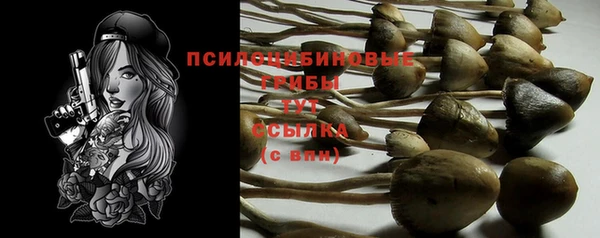 герыч Белокуриха